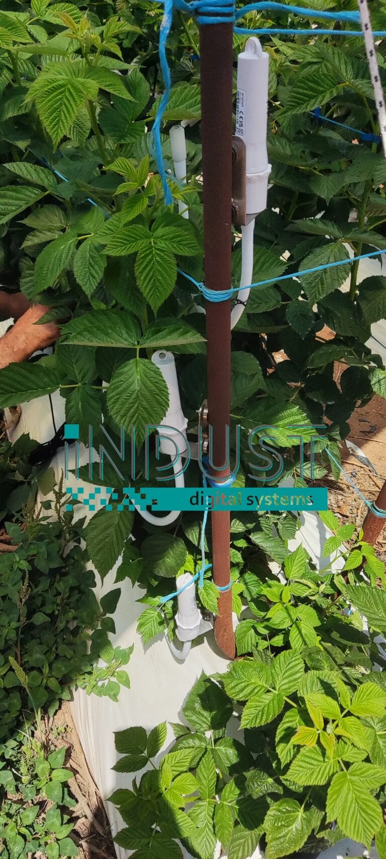 indust-ψηφιακος-μετασχηματισμος-indust greenshouse application 10