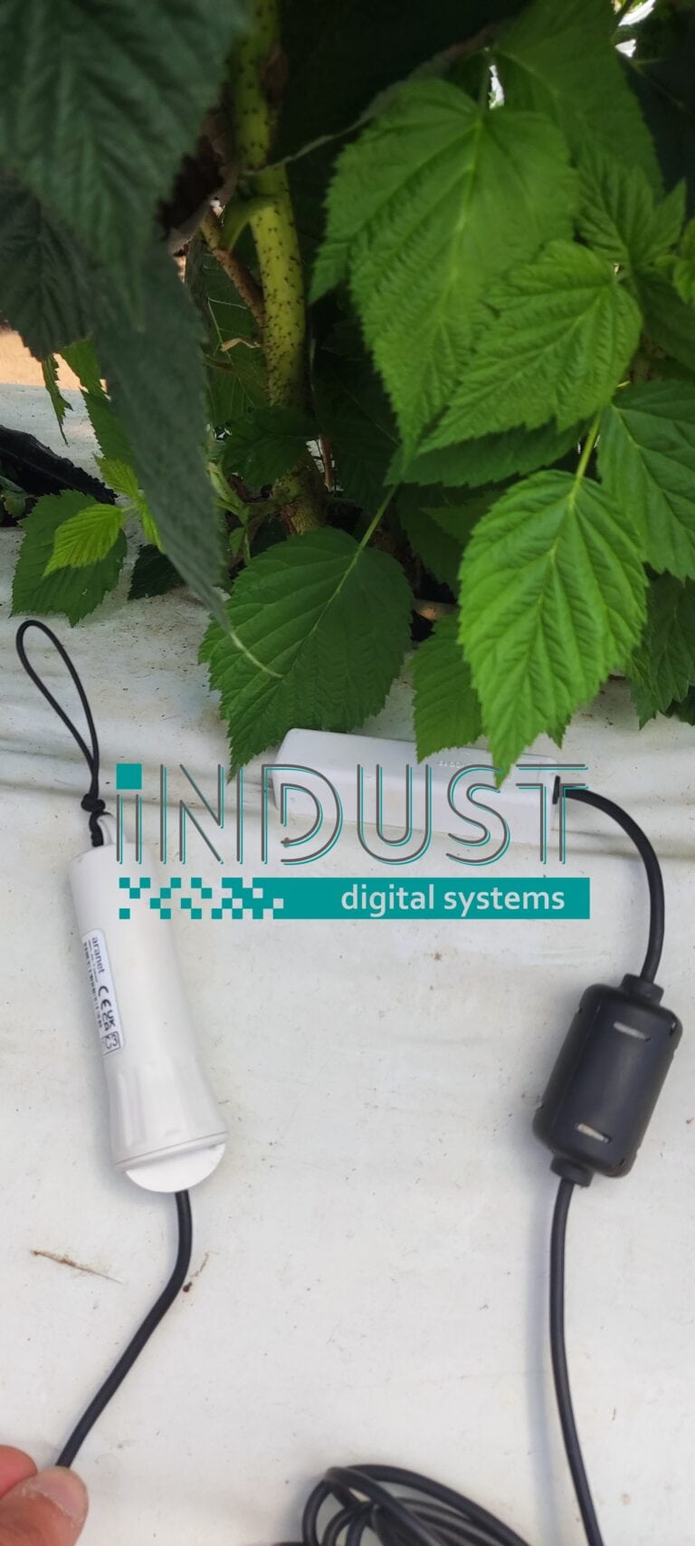indust-ψηφιακος-μετασχηματισμος-indust greenshouse application 11