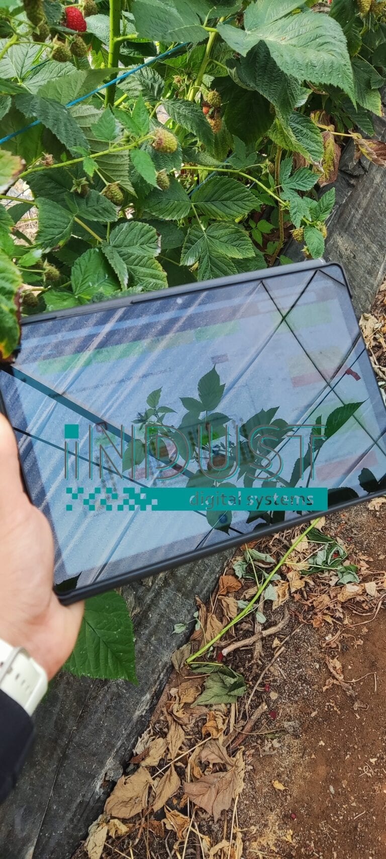 indust-ψηφιακος-μετασχηματισμος-indust greenshouse application 12