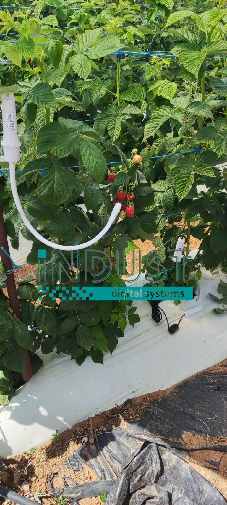 indust-ψηφιακος-μετασχηματισμος-indust greenshouse application 15