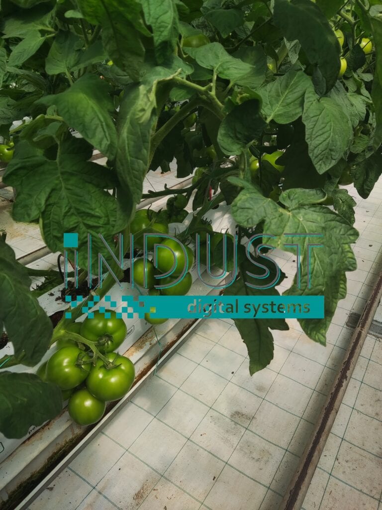 indust-ψηφιακος-μετασχηματισμος-indust greenshouse application 16