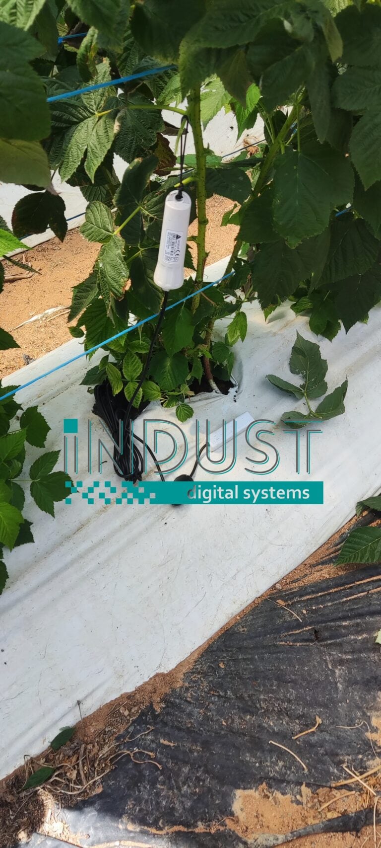 indust-ψηφιακος-μετασχηματισμος-indust greenshouse application 17