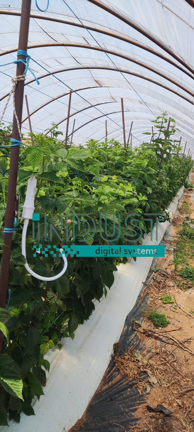 indust-ψηφιακος-μετασχηματισμος-indust greenshouse application 19