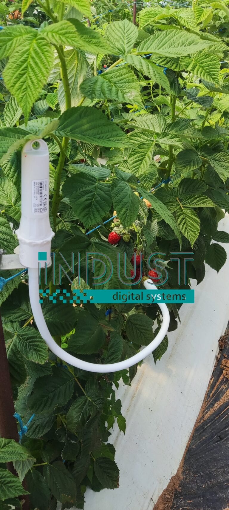 indust-ψηφιακος-μετασχηματισμος-indust greenshouse application 7