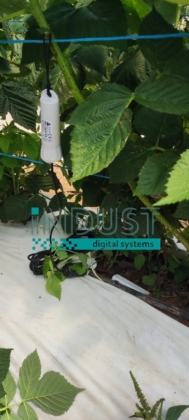 indust-ψηφιακος-μετασχηματισμος-indust greenshouse application 8