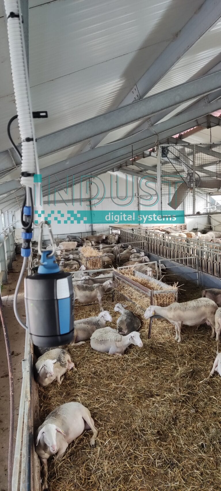 Πρότυπη κτηνοτροφική εγκατάσταση με ψηφιακά συστήματα διαχείρισης και αυτοματοποίησης.